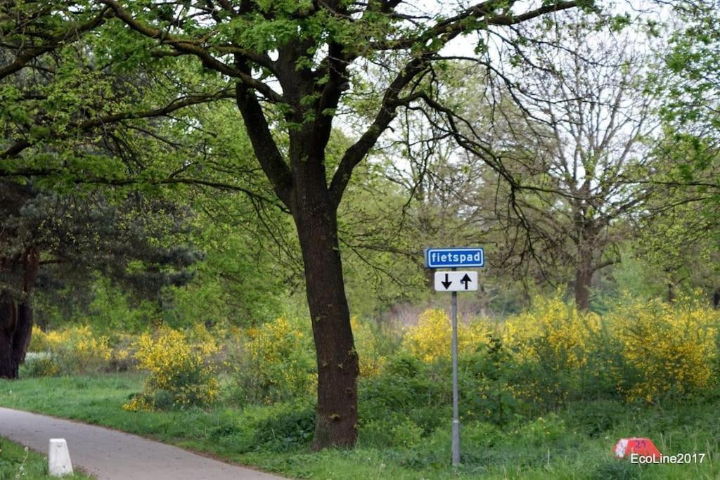 فيلا Huinerhofje 2 - Vrijstaand Met Grote Omheinde Tuin, Rust, Privacy En Nabij Bossen بوتِنْ المظهر الخارجي الصورة