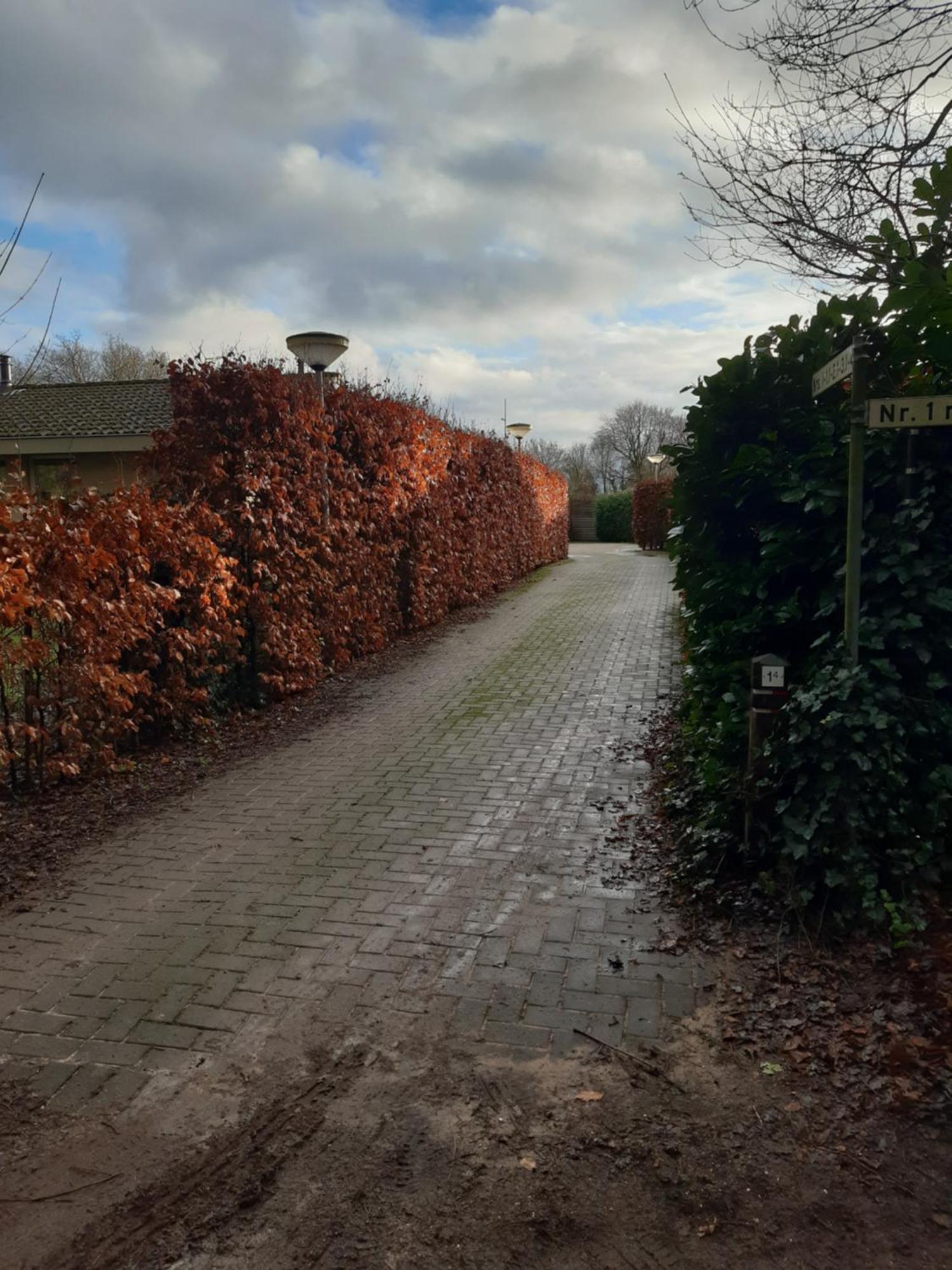 فيلا Huinerhofje 2 - Vrijstaand Met Grote Omheinde Tuin, Rust, Privacy En Nabij Bossen بوتِنْ المظهر الخارجي الصورة